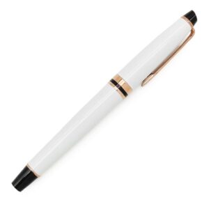ウォーターマン WATERMAN 万年筆 エキスパート エッセンシャル プレシャスホワイトPGT ラッカー GP K18WG(ペン先) ホワイト×ブラック×PG ピンクゴールド金具 F(細字) 2119784 【中古】